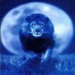 nnlion