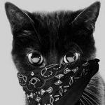 Black..