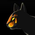 Umbra