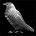 SilverRavenV